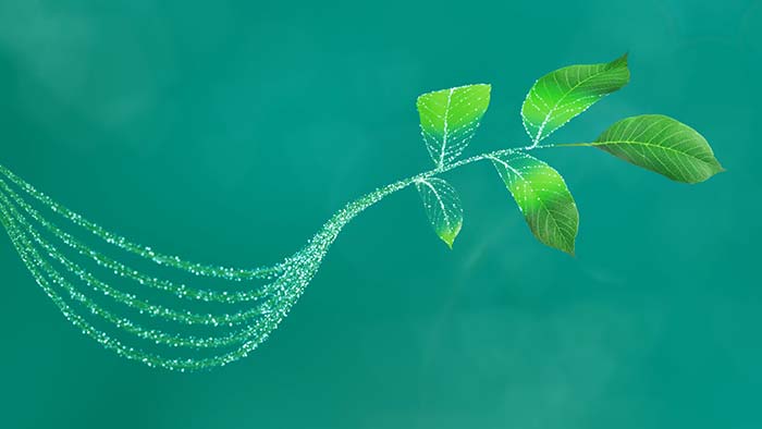 Infineon presents microcontroller and sensor solutions for the future of AI, IoT, mobility, and robotics